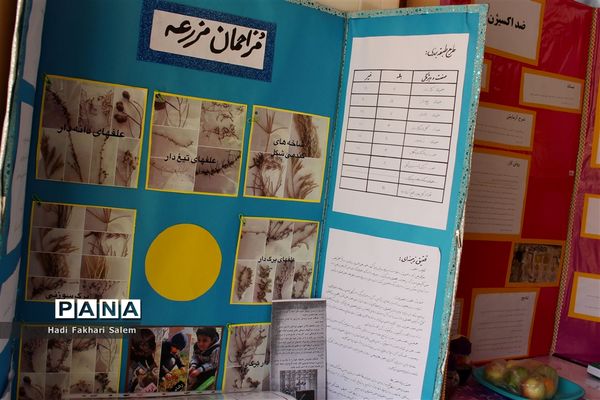 نمایشگاه طرح های برگزیده ابتدایی و کارگاه‌های آموزشی ایران شناسی