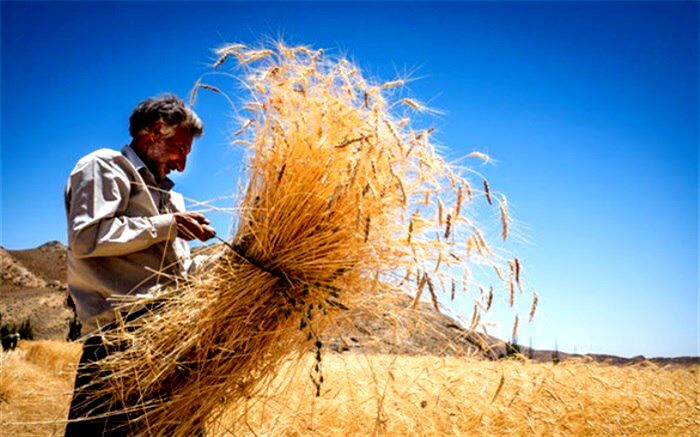 تسهیلات ارزان قیمت به بهره‌برداران و کشاورزان اردبیلی تعلق می‌گیرد