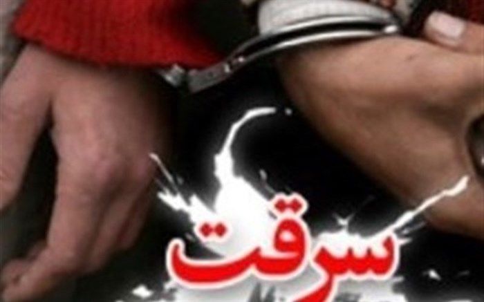 دستگیری سارق حرفه‌ای در شهرستان آق‌قلا