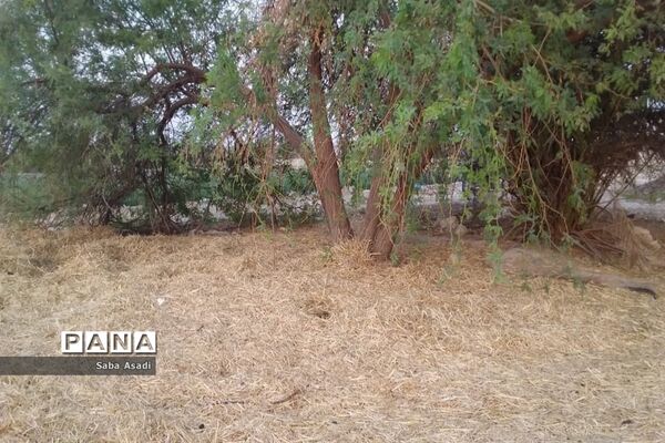 دشت گله دار در حصار خشکسالی
