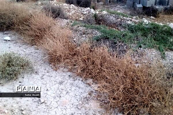 دشت گله دار در حصار خشکسالی