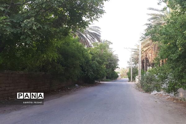 خطر تخریب باغ های میوه در خاوران