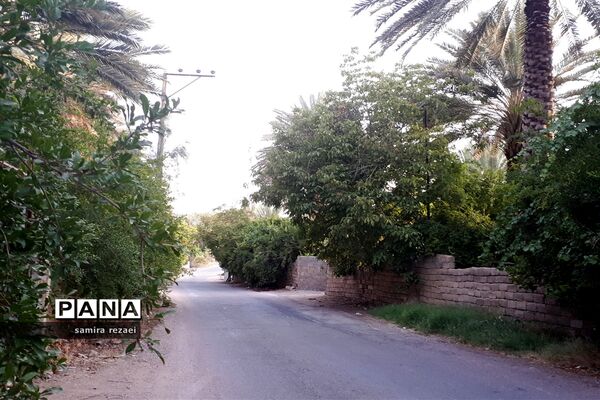 خطر تخریب باغ های میوه در خاوران