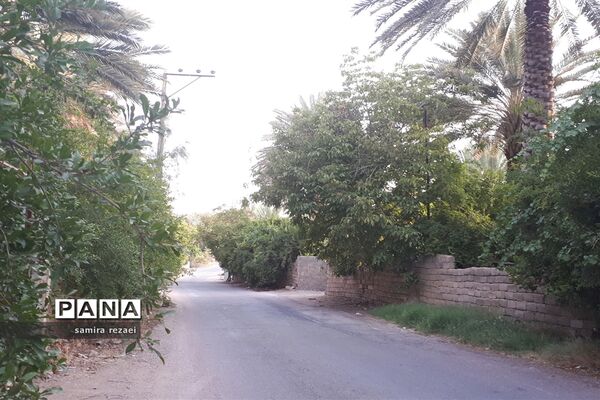 خطر تخریب باغ های میوه در خاوران