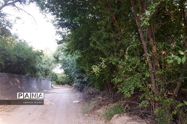 خطر تخریب باغ های میوه در خاوران