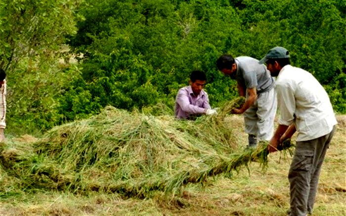 معروف ترین روستاهای خراسان جنوبی| دنیایی متفاوت از آداب و رسوم