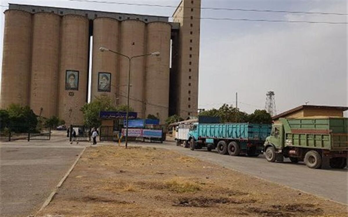 مدیرکل هماهنگی خریدهای داخلی شرکت بازرگانی دولتی:‌ 90 درصد مطالبات کشاورزان برای خرید تضمینی گندم پرداخت شد