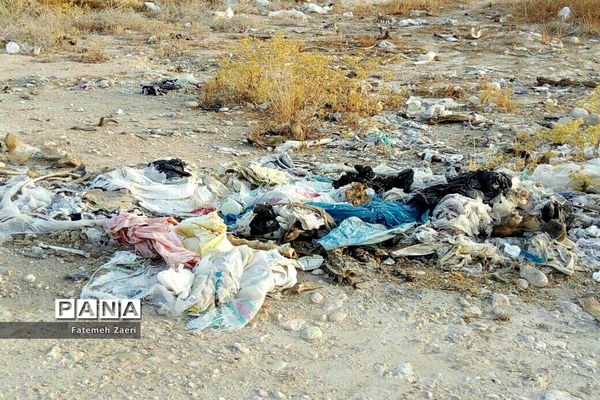 اوضاع نابسامان جمع آوری زباله در لامِرد فارس