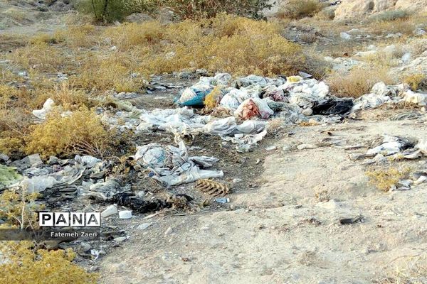 اوضاع نابسامان جمع آوری زباله در لامِرد فارس