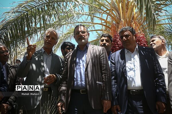 بازدید وزیر آموزش و پرورش از پروژه‌های عمرانی استان کرمان
