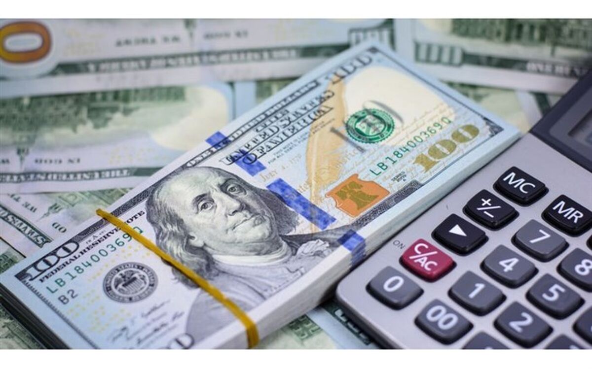 رئیس دیوان محاسبات:‌ با تشکیل هیات ویژه ارزی فهرست متخلفان ارزی به زودی اعلام می‌شود