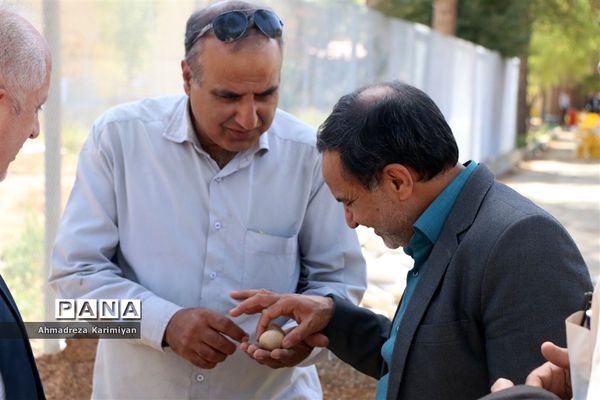 ایجاد باغ پرندگان در اردوگاه شهید آیت الله دستغیب شیراز