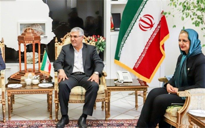 استاندار فارس اعلام کرد: مشارکت سرمایه‌گذاران ترکیه‌ای در ساخت شهر سلامت در فارس