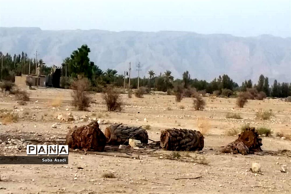 مشاور امور بین‌الملل وزیر نیرو:‌ پیگیری طرح تاسیس مرکز پایش منطقه‌ای خشکسالی جنوبغرب آسیا در ایران