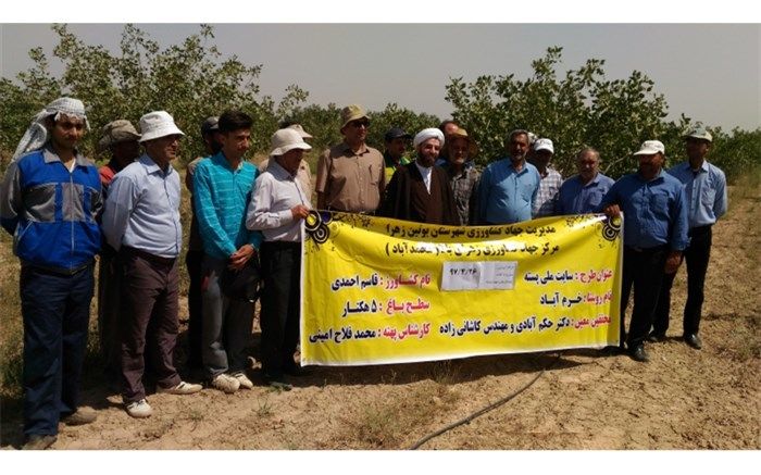 باغداران پسته کار بوئین زهرا با کنترل آفات و بیماریهای این محصول آشنا شدند