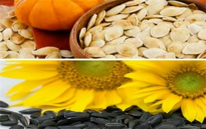 امسال ۳۰هزارتن تخمه آفتابگردان و کدو در خوی برداشت می شود