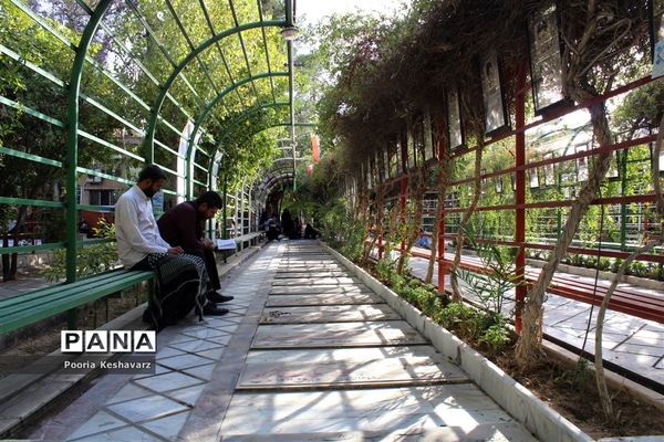 دور از عرفات، در جوار شهدا