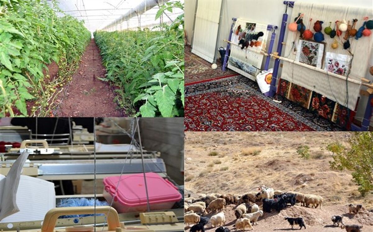 بیش از 85 درصد افتتاحیه‌های هفته دولت ملایر در روستاهاست