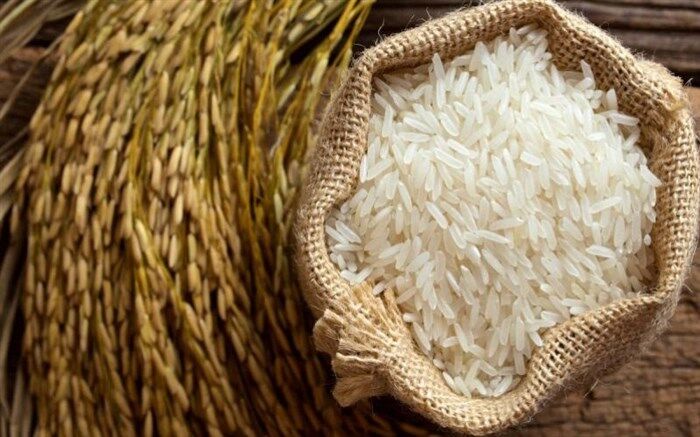 سازمان حمایت قیمت فروش برنج هندی و پاکستانی را اعلام کرد