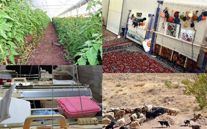 آذربایجان غربی رتبه نخست پرداخت تسهیلات اشتغال روستایی را کسب کرد