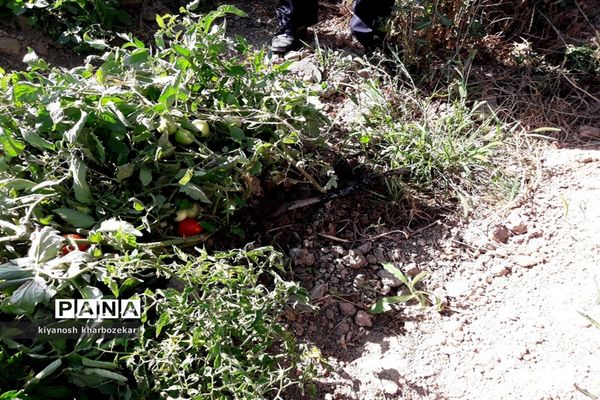 افتتاح و بازدید از طرح های بخش کشاورزی  جهاد کشاورزی آذربایجان غربی