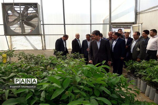 افتتاح و بازدید از طرح های بخش کشاورزی  جهاد کشاورزی آذربایجان غربی