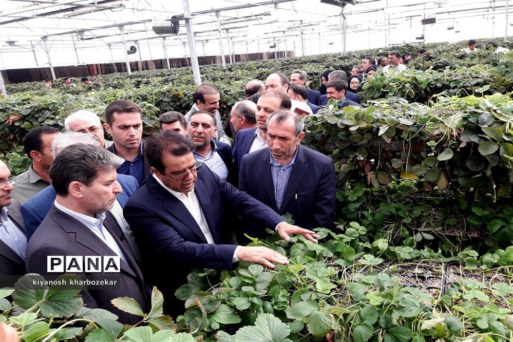 افتتاح و بازدید از طرح های بخش کشاورزی  جهاد کشاورزی آذربایجان غربی