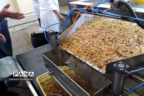 افتتاح و بازدید از طرح های بخش کشاورزی  جهاد کشاورزی آذربایجان غربی