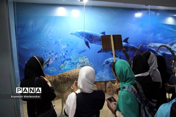 بازدید دانش آموزان همیار مشاور دختر از موزه تاریخ طبیعی ارومیه