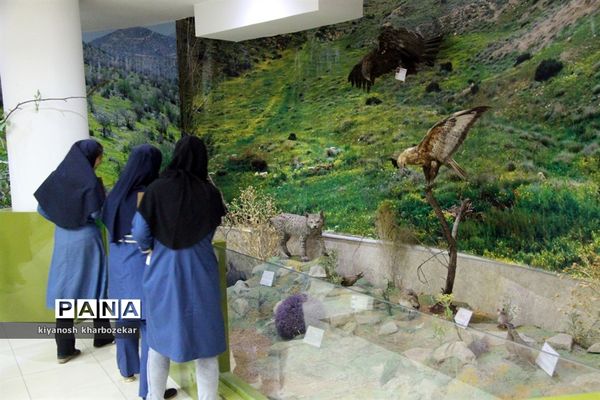 بازدید دانش آموزان همیار مشاور دختر از موزه تاریخ طبیعی ارومیه
