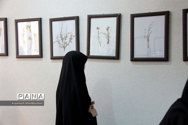 بازدید دانش آموزان همیار مشاور دختر از موزه تاریخ طبیعی ارومیه