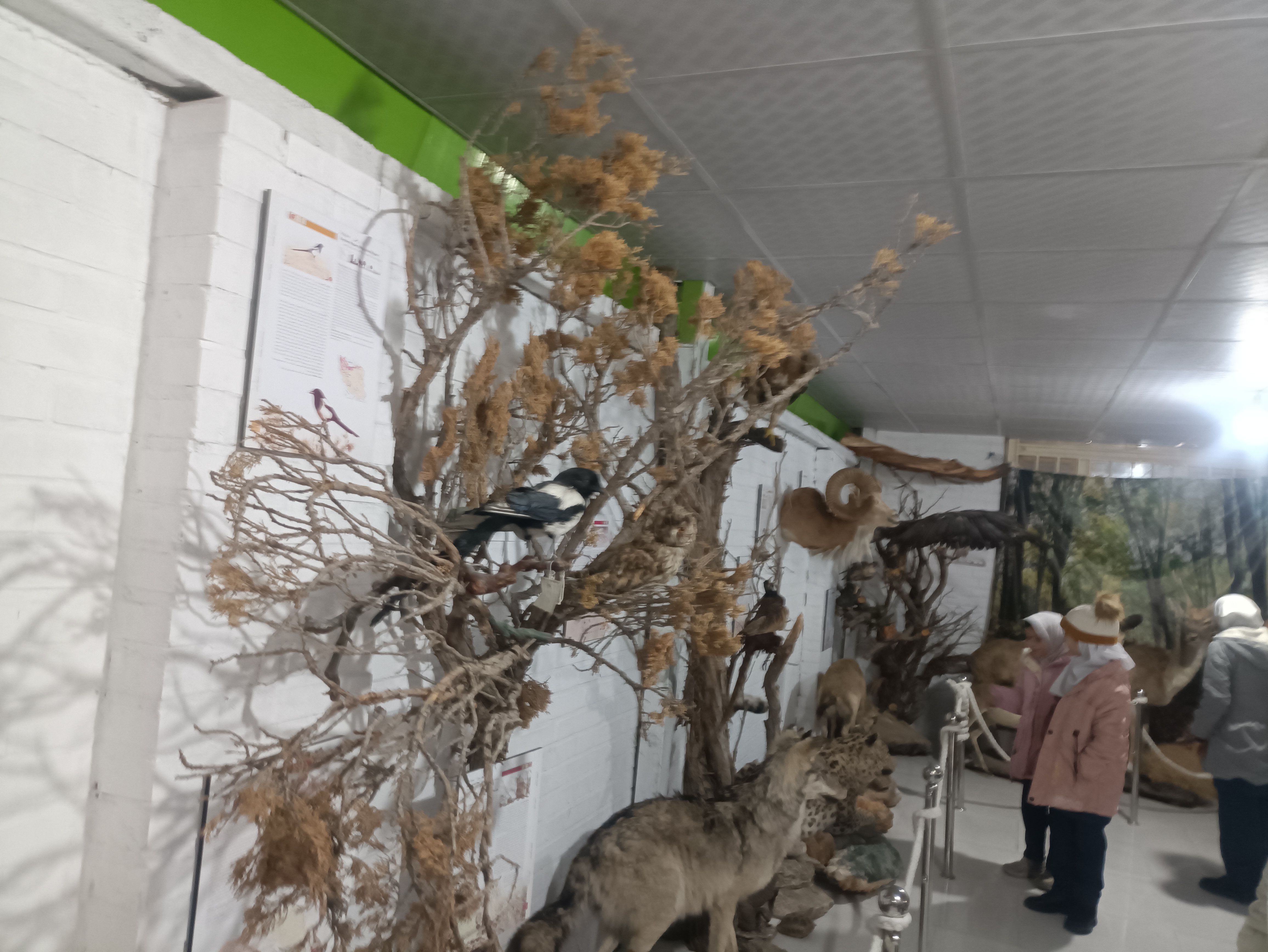 بازدید دبستان دخترانه شاهد۲ حضرت رقیه(س)، از موزه حیات وحش شیروان