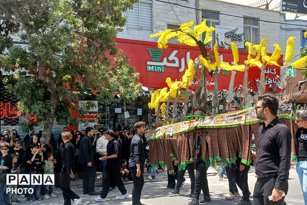 مراسم تاسوعای حسینی در شهرستان شیروان 