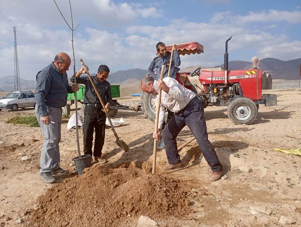 کاشت نهال در آرامستان روستای گزکوه