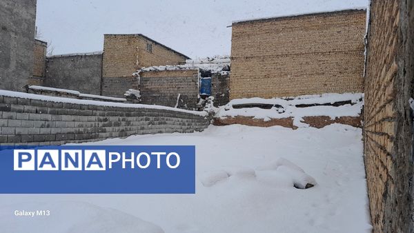 عروس فصل‌ها باری دیگر مهمان شهرستان بن