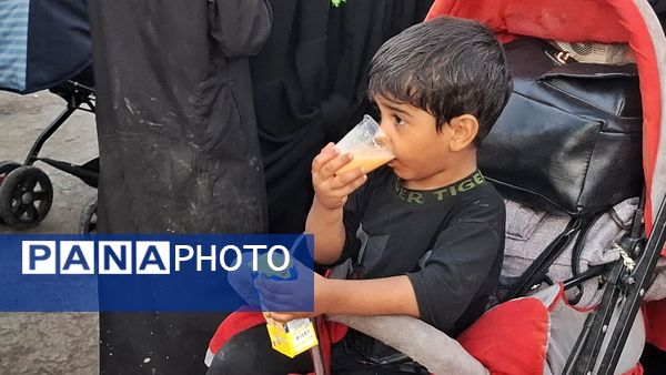 جلوه‌هایی از حضور کودکان در مسیر مشایه نجف تا کربلا
