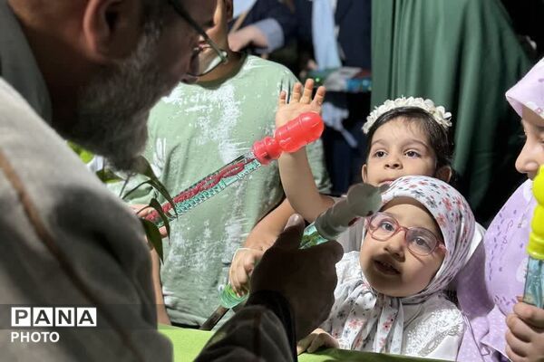 نبض شهر به عشق علی(ع) تپید