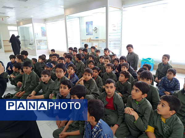 بازدید دانش‌آموزان مدرسه شهدای غزه (1) قم از نمایشگاه تاکسیدرمی کانون پردیسان