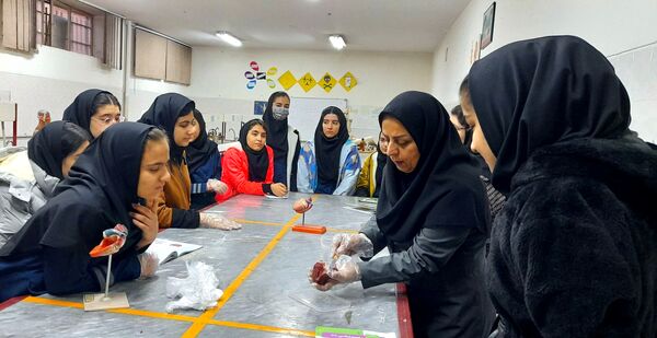 کارگاه تشریح قلب و آناتومی بدن انسان