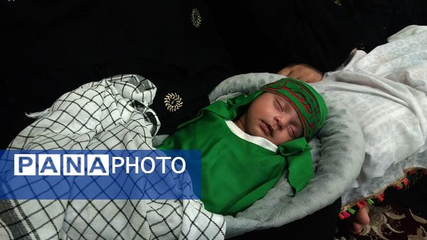 همایش شیرخوارگان حسینی در پارسیان