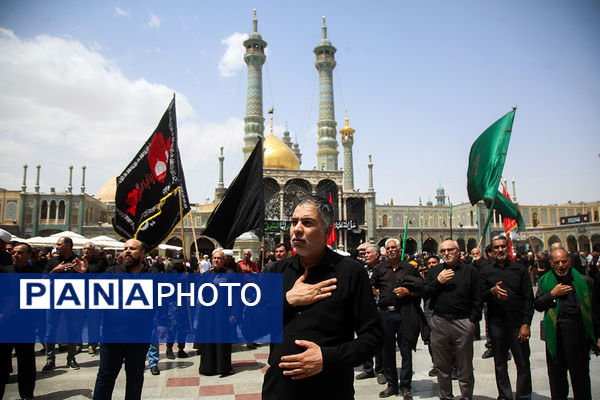 حضور دسته‌عزاداری سالروز شهادت امام جعفر صادق(ع) در حرم حضرت معصومه(س)