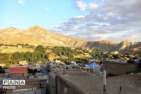 فصل چیدن یاقوت های چشم نواز در شهر بار نیشابور-۱