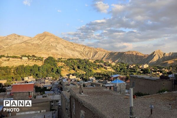 فصل چیدن یاقوت های چشم نواز در شهر بار نیشابور-۱