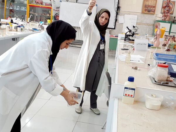 برگزاری مرحله استانی جشنواره نوآوری در بجنورد