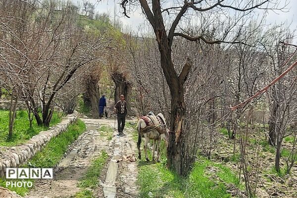 سیزده بدر روز طبیعت ۱۴۰۵در شهر بار نیشابور 
