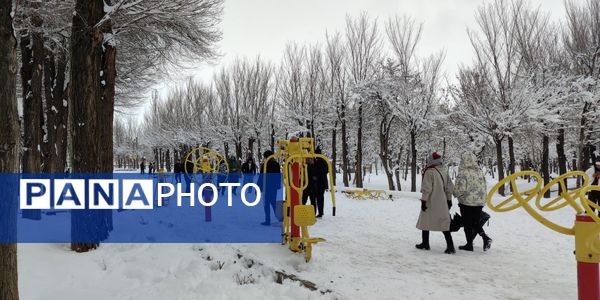 سکوت برفی بروجن، قلب شهر را به تپش انداخت