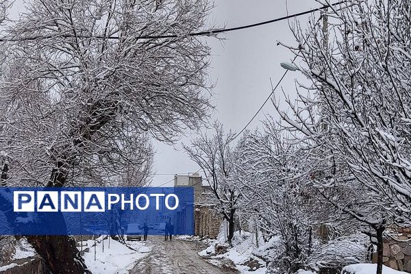 آسمان سخاوتمندانه نعمتش را در ماه شعبان به زمین شهر بار هدیه کرد