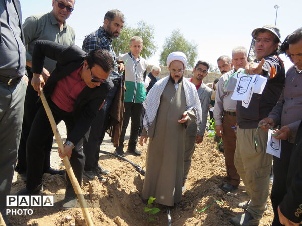 آیین "درخت سرو ایران" در شهرستان خلیل آباد 