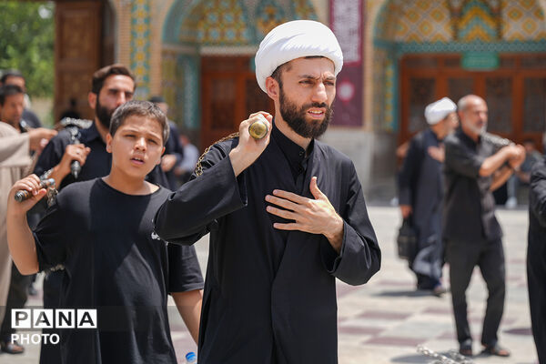 حضور دسته‌جات عزاداری سالروز شهادت امام حسن مجتبی(ع) در حرم حضرت معصومه(س)