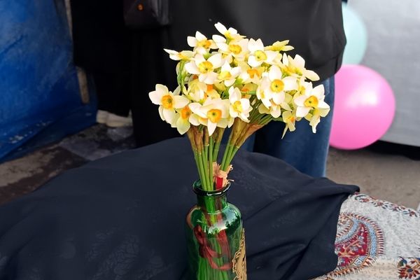 جشن خیابانی میلاد بقیة الله الاعظم (عج) در شهرستان نیشابور